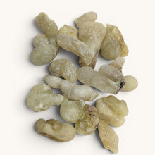 Lade das Bild in den Galerie-Viewer, weißer Oman Weihrauch "Superior Hojari" [Boswellia Sacra]
